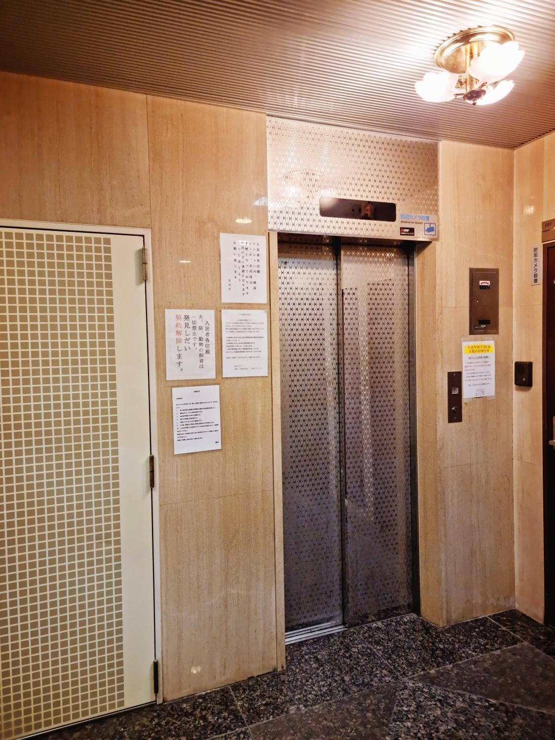 오사카 네코하우스 난바점 Διαμέρισμα Εξωτερικό φωτογραφία
